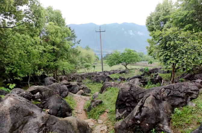 湖南旅游资源新发现！石门县万仞洞村发现茶马古道遗址