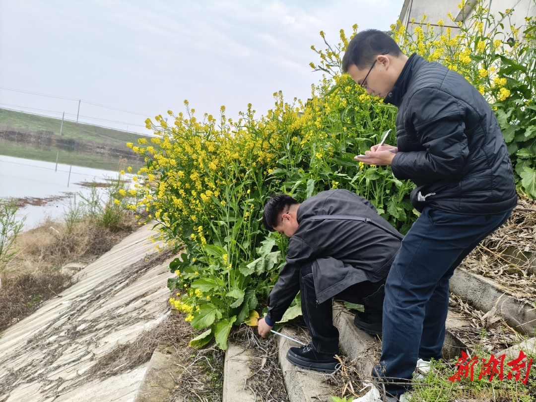 益阳市审计局“三个强化”推进预算执行审计