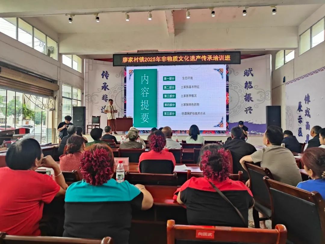 桑植县廖家村镇：沉浸式培训 感受非遗魅力