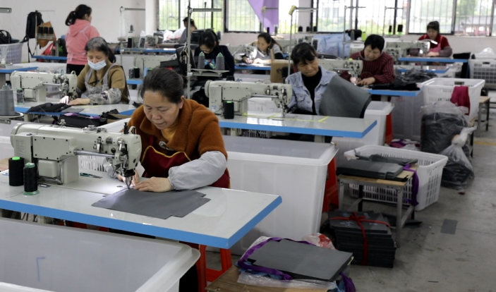 桂东：政企齐发力 就业更稳定