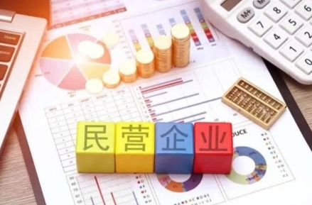 一图读懂！民营经济促进法即将实施，来看看有哪些亮点