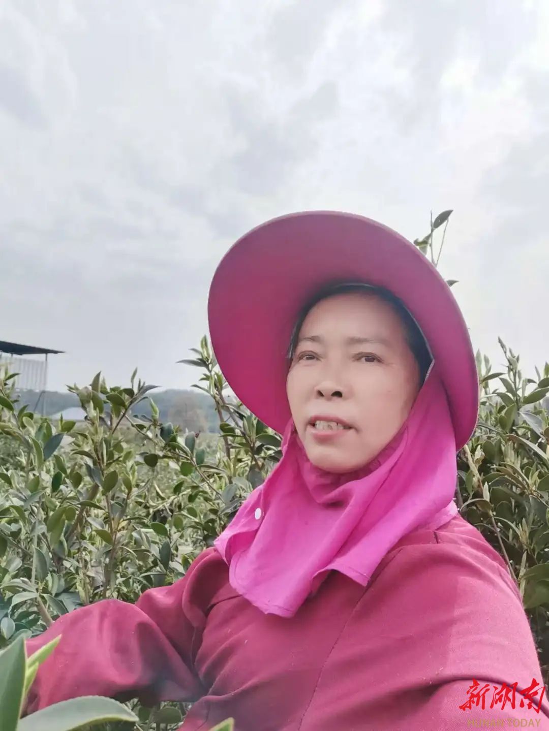 人大代表风采丨风雨兼程十五载 油茶花开绽芳华