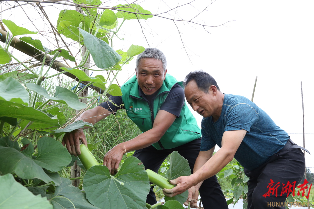 浏阳大瑶镇：将残疾人的康复课堂搬至蔬菜基地