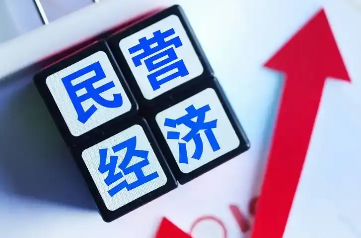 以法治之力促進(jìn)民營(yíng)經(jīng)濟(jì)高質(zhì)量發(fā)展——國(guó)新辦發(fā)布會(huì)聚焦民營(yíng)經(jīng)濟(jì)促進(jìn)法