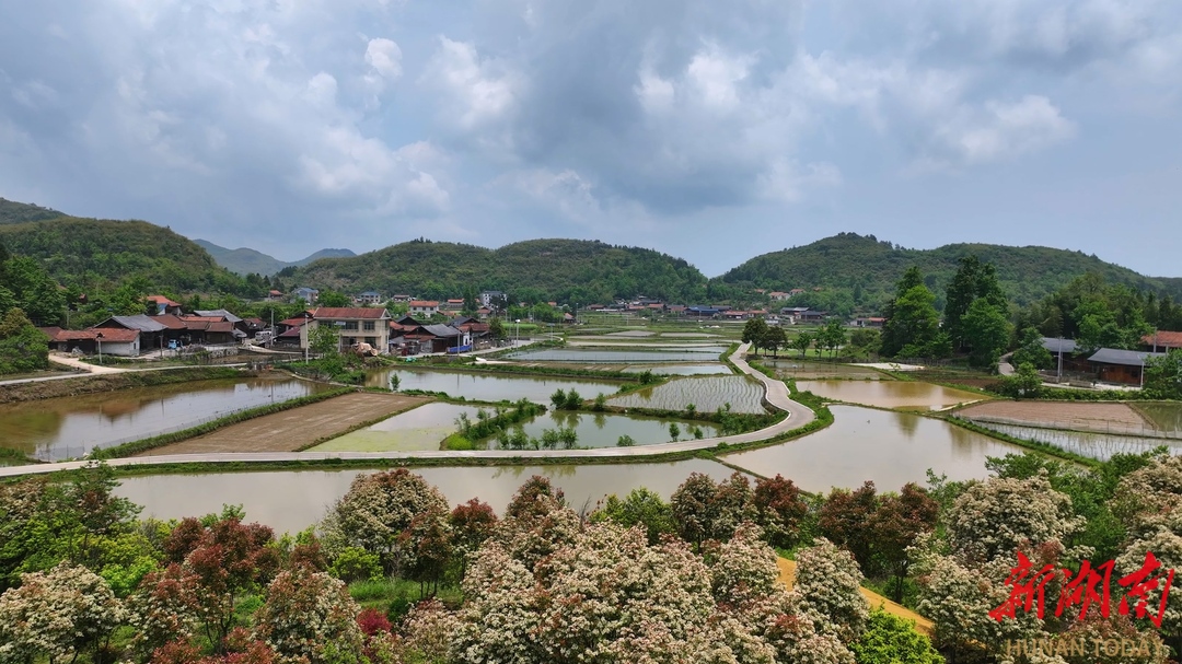 【福地怀化•浪漫季｜大美怀化】 鹤城区：黄岩大坪村 云端田园绘就初夏美景