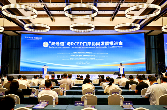 专家支招怀化“国际会客厅”打造——“双通道”与RCEP口岸协同发展推进会召开