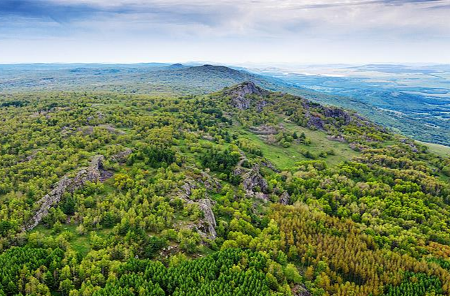 跟着习主席看世界丨在这“梨花开遍了天涯”的季节 去“三好”邻邦家做客