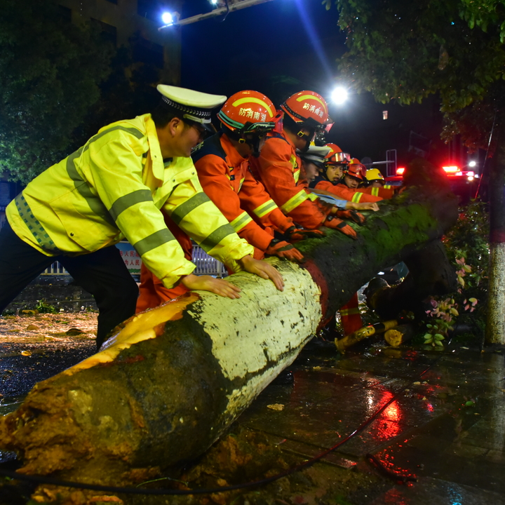 疾风骤雨大树倒 携手清障保畅通