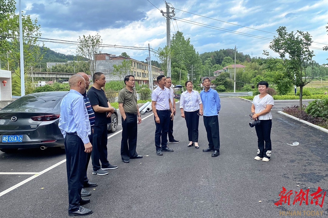 炎陵县省级美丽乡村（和美湘村）重点建设村授牌仪式圆满举行