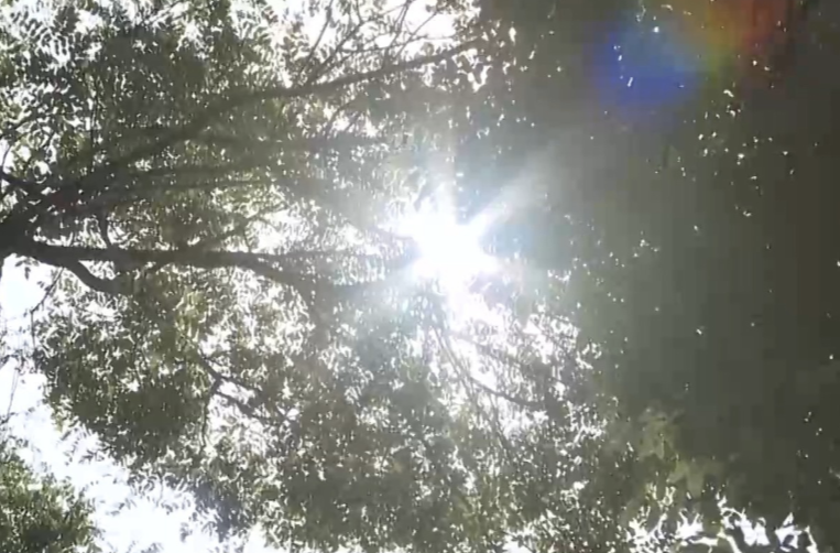夏日版图持续更新 多地入夏进程明显快于常年 专家解读→