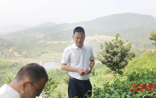 陈淼赴许市镇、钱粮湖镇调研