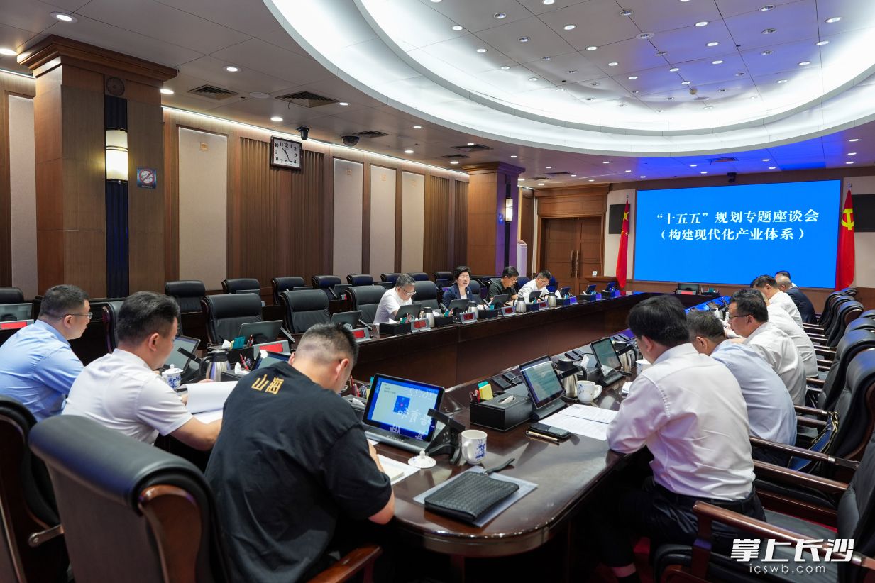 吴桂英围绕构建现代化产业体系主持召开“十五五”规划专题座谈会