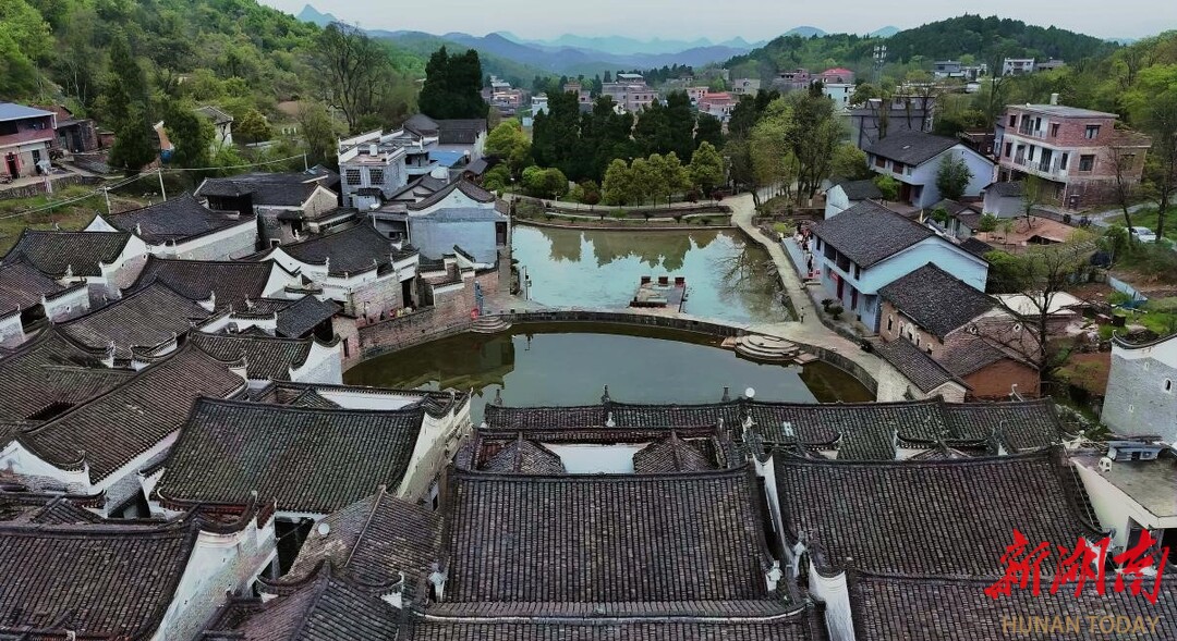 新田：文化研学让传统文化在青少年心中 