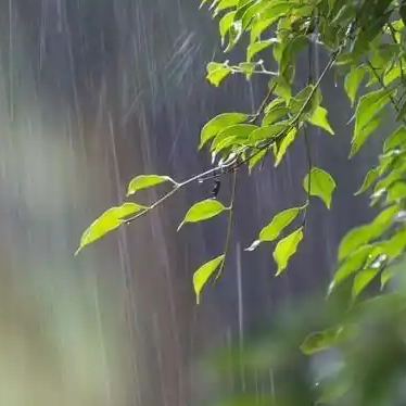南方两轮降雨无缝衔接 华北东北雷雨也将登场