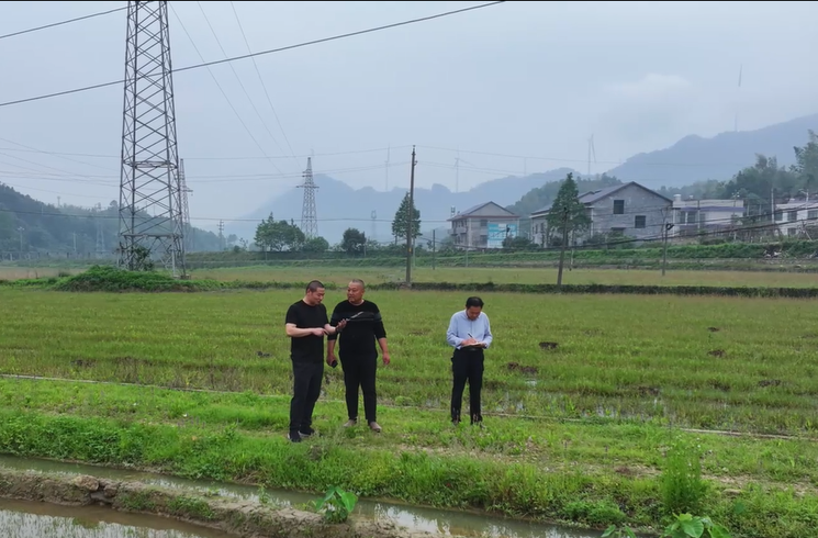 湘乡市：基层立法点让“好声音”化作“金点子”