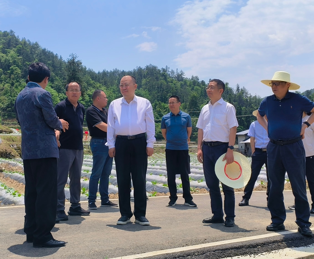 李平到大安乡调研助力乡村振兴