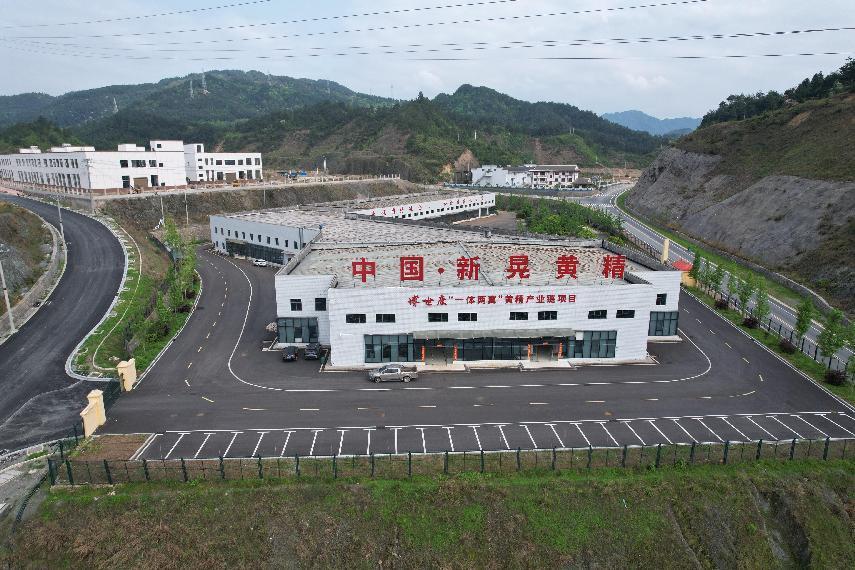 新晃：靠山吃山开“良方” 黄精产业铺“新路”
