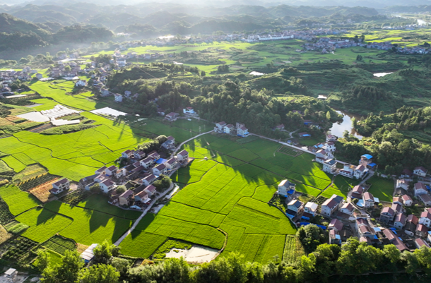 麻阳：自己家乡自己建，舒家村里好“舒心”