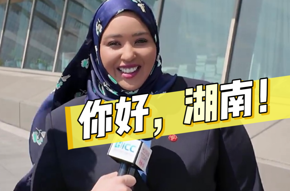 非洲驻华使节代表团走进湖南，他们最期待的是？