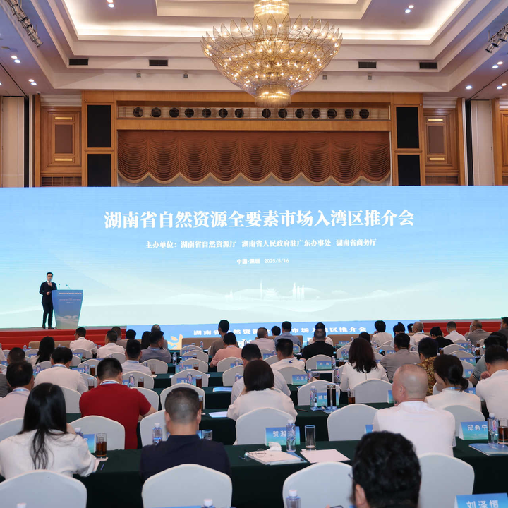 推动湘粤深度合作 湖南向湾区推介自然资源全要素市场