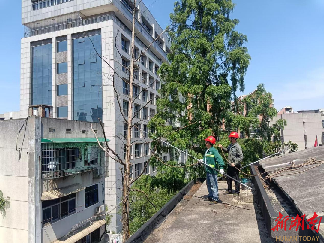 长沙汤家岭社区：社区吹哨聚合力，部门报到解民忧