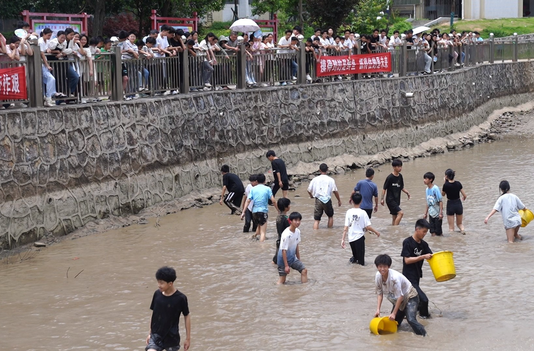 临武这个学校创新劳动教育模式，让学生在实践中锻炼、在竞赛中成长