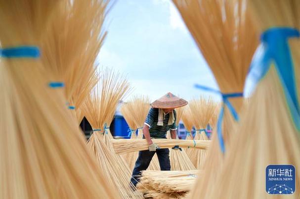 竹山变“金山”：湖南竹产业高质量发展的路径思考 