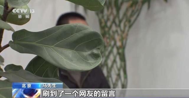 专用App购涨停股轻松获利？警惕“线上诈骗 线下取钱”新骗术