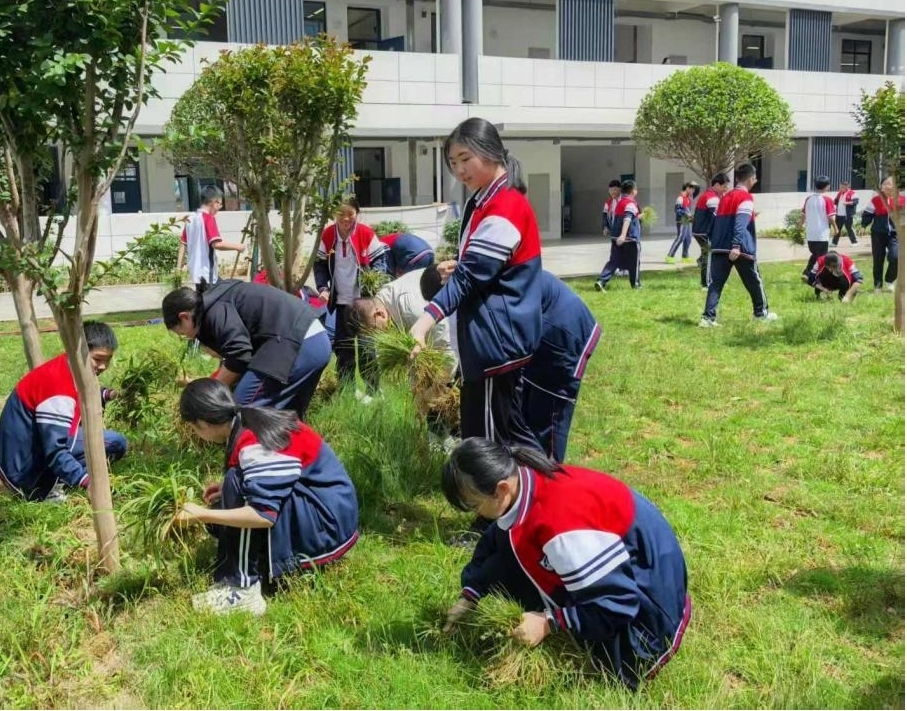 衡南一中云集校区开展劳动实践活动