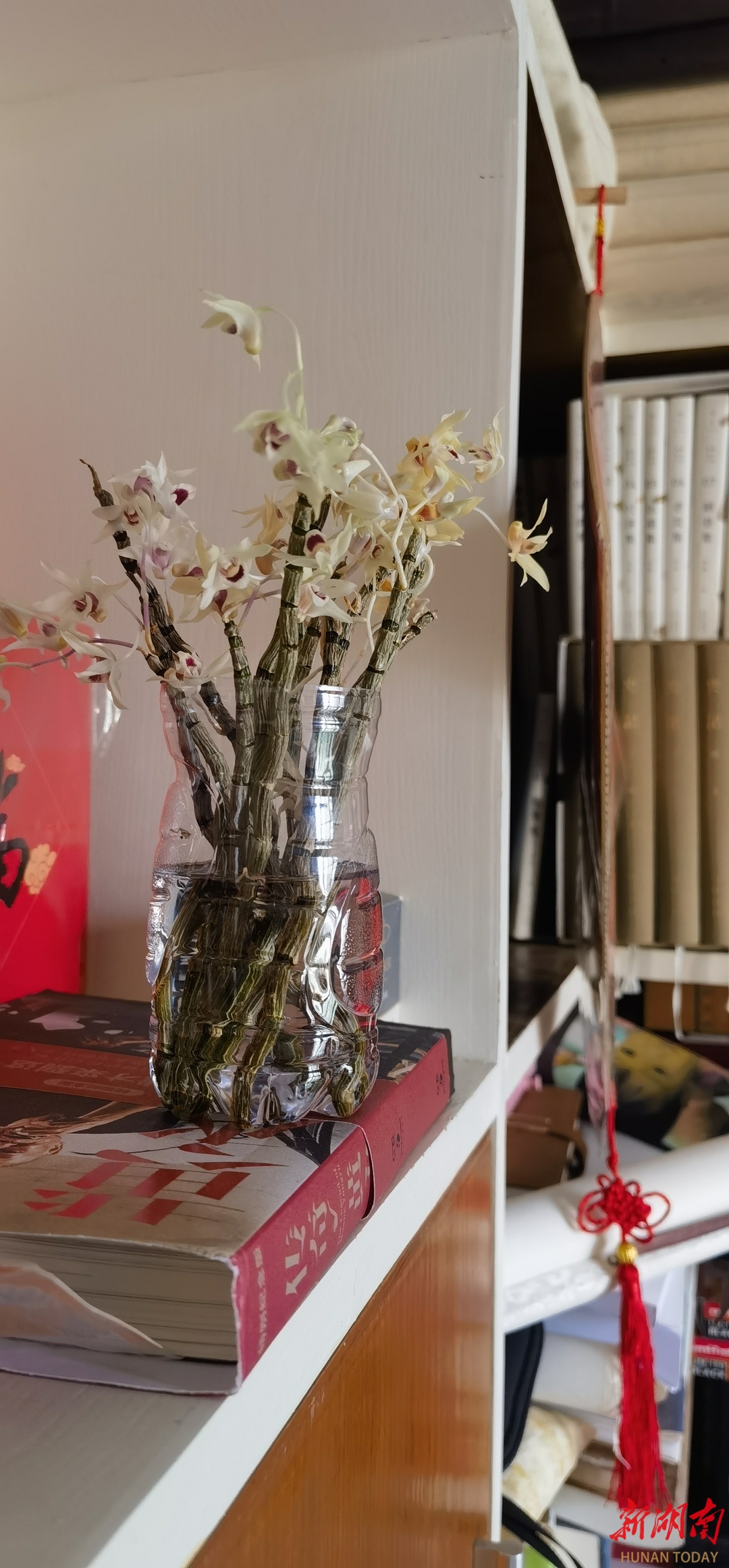 散文丨张永中：胸有兰花