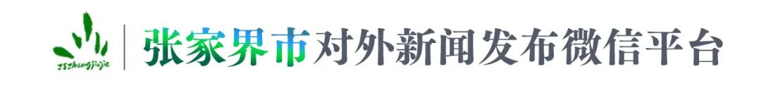 刘革安：聚焦重点难点 全力突破瓶颈 奋力推进项目建设