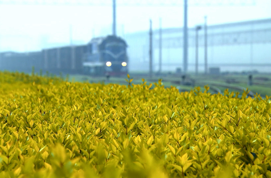 时政微视频 | 丝路新使