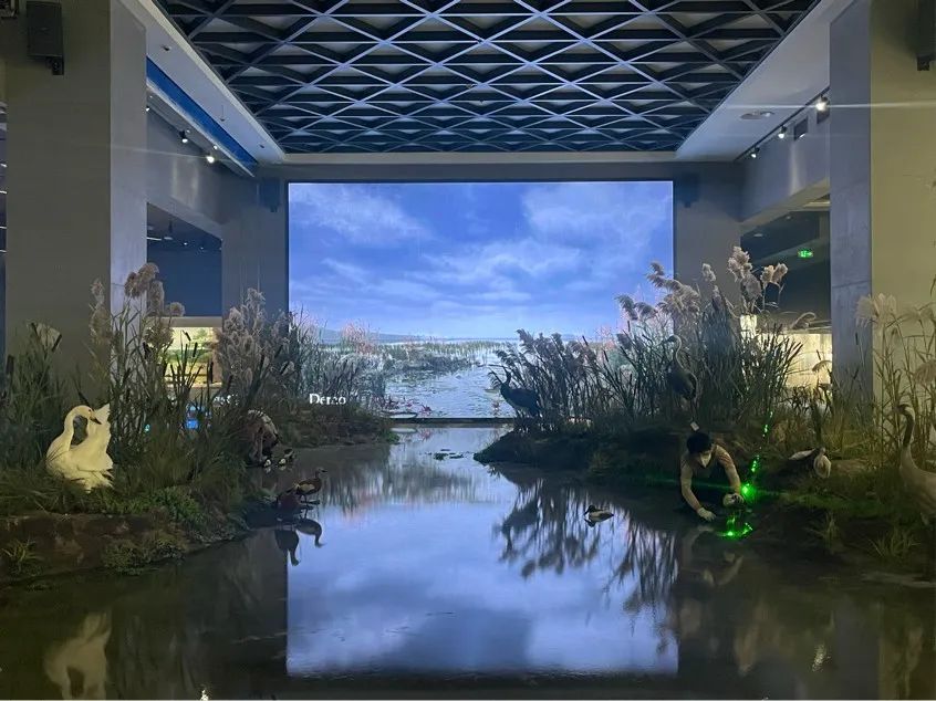 洞庭湖博物馆即将焕新开馆