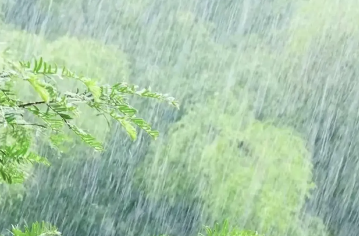 阵雨！中雨！大雨！马上到长沙