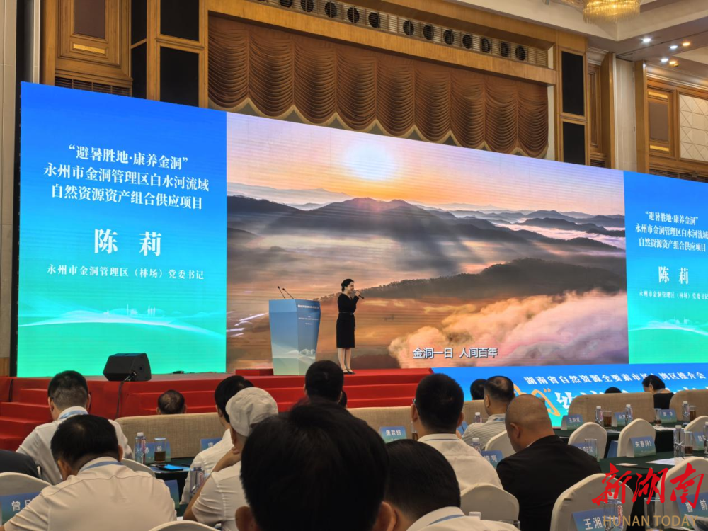 “避暑胜地・康养金洞”项目在全省自然资源全要素市场入湾区推介会上签约