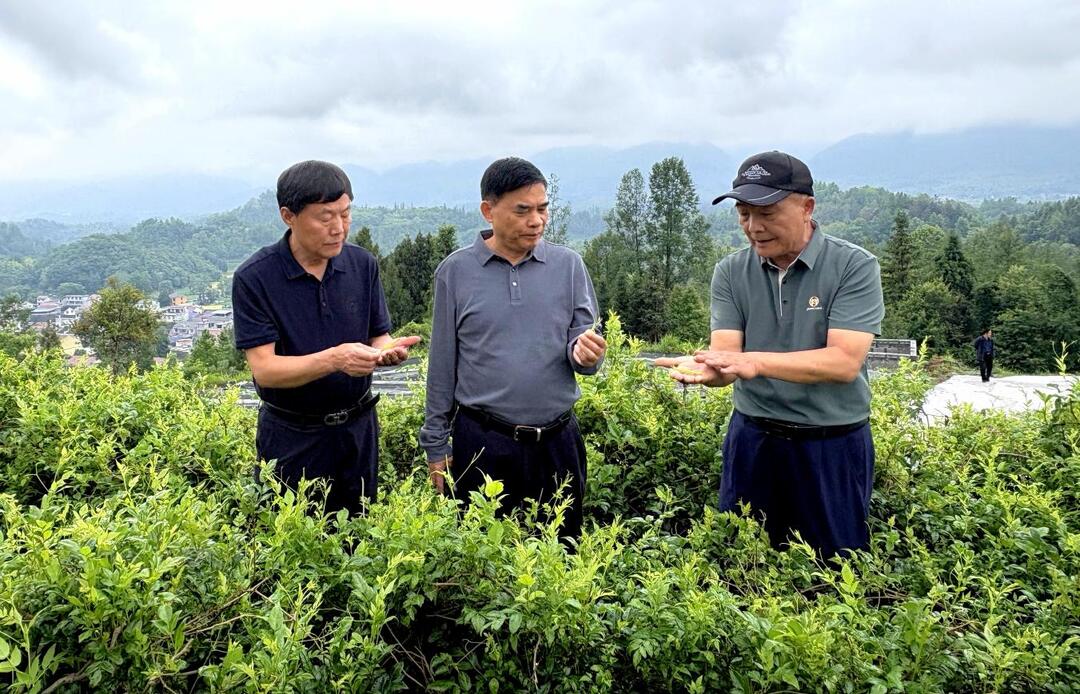 省老科协到永顺县调研老科协科技示范基地