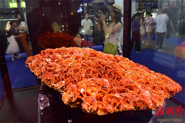 Residents Visit 13th CMGE in Chenzhou