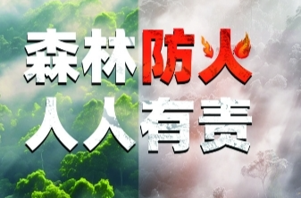 道县全力防范森林安全事故