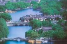 走出去抓机遇谋发展——浙江构建开放型经济调研记