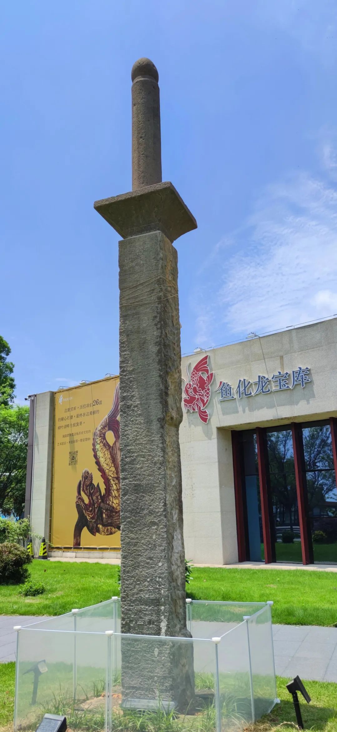 柳叶湖鱼化龙宝库新添一宝 国内罕见 全省唯一