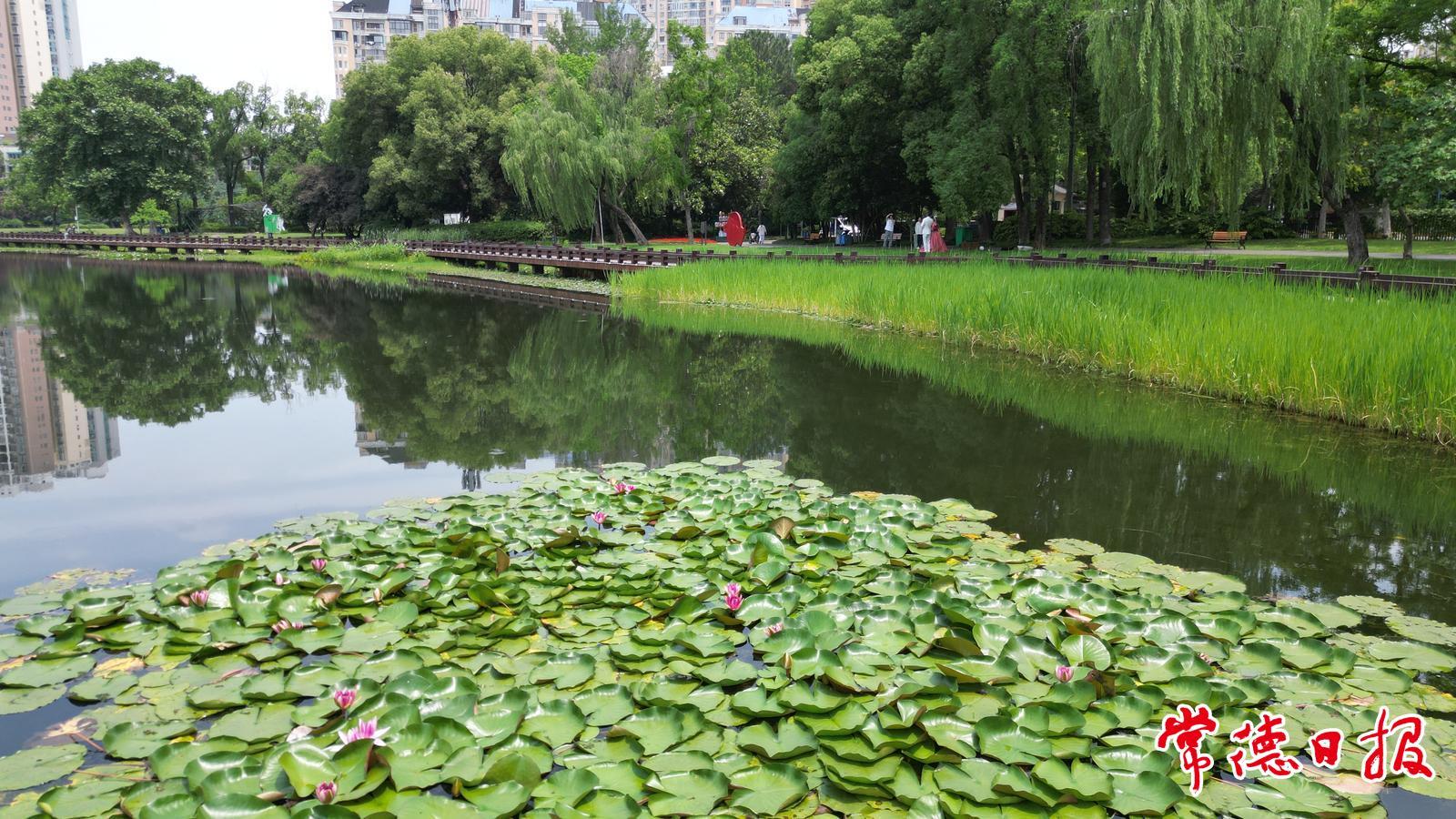 常德气温先升后降 还有大到暴雨在路上
