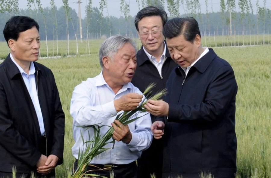 学习进行时｜是贡献，也是奉献——习近平总书记和河南的故事