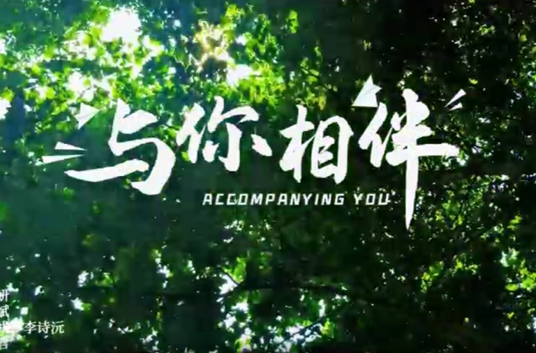 民法典宣傳月【MV】|與你相伴