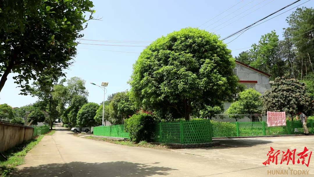 “边角地”变“聚宝盆” 津市市黄林堰村房前屋后“靓”起来