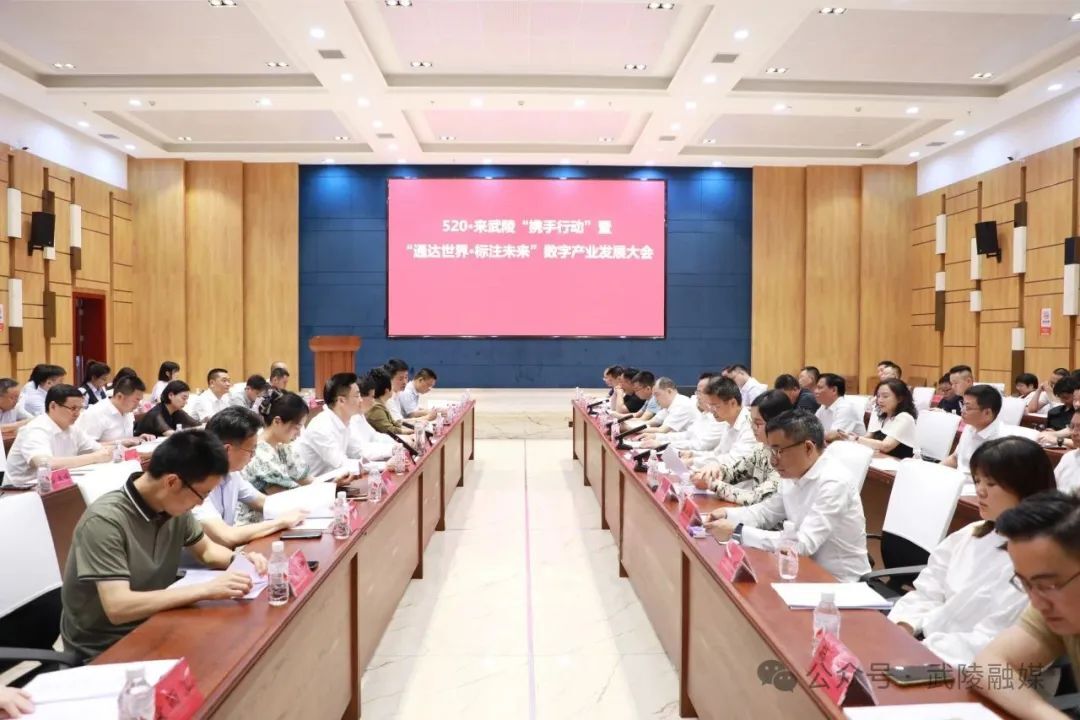 武陵区数字产业发展大会召开，共签约12个项目，总投资5.68亿元
