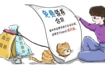 免费领养宠物，当心其中猫腻