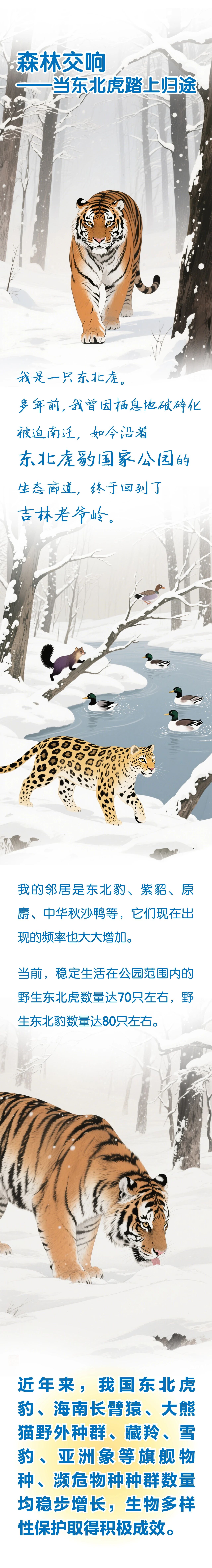 国际生物多样性日 ｜ 它们写了一封信 请你亲启！