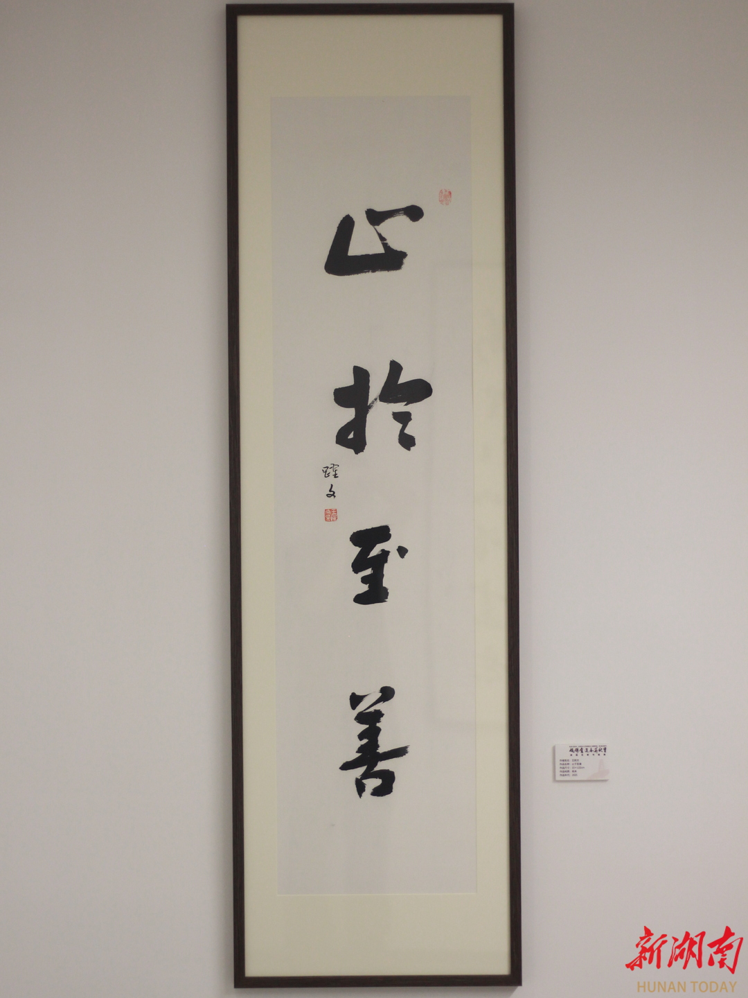 70幅作品展现文艺家群体的艺术才情 湖南名家书画展开幕