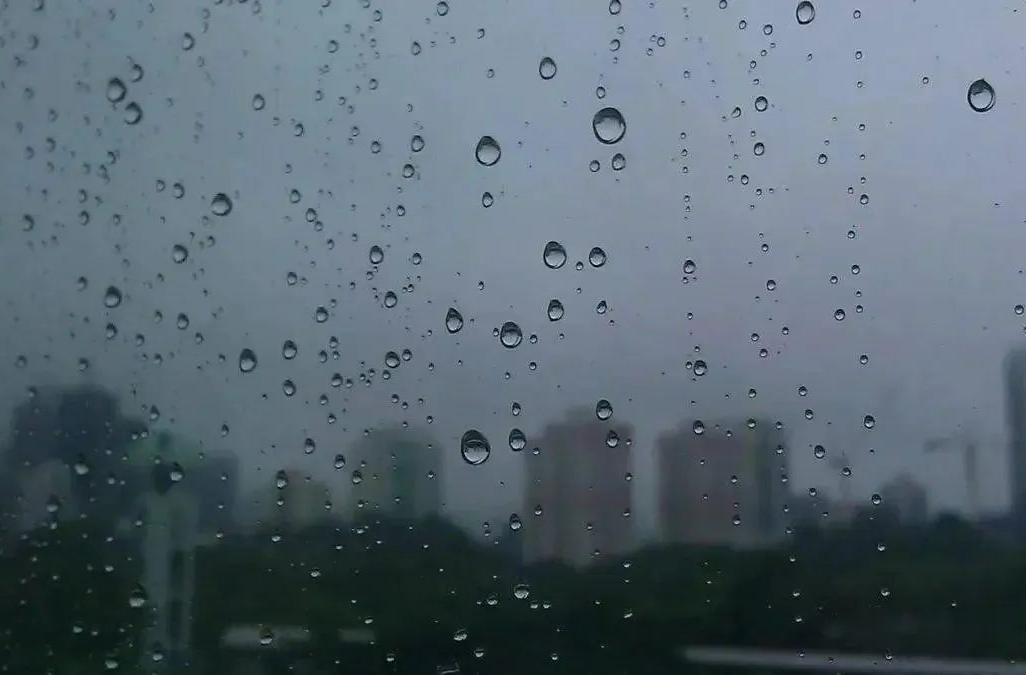 强降雨天气来袭 这些避险常识要牢记