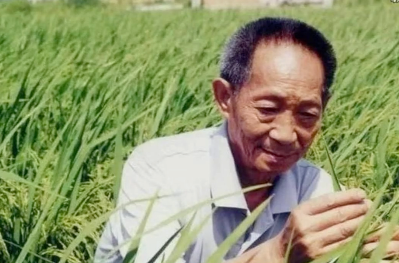 历史上的今天｜2021年5月22日，“杂交水稻之父”袁隆平去世